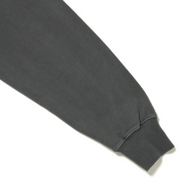 AUTHENTIC BOX LOGO PARKA 詳細画像